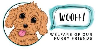 Welfare Of Our Furry Friends
